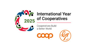 Mezinárodní rok družstev